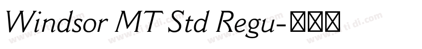 Windsor MT Std Regu字体转换